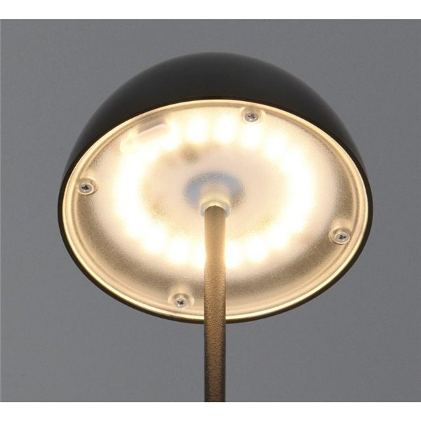 Lámpara LED de sobremesa con batería recargable USB ORTIZ regulable 2W 150lm, 3000K IP20