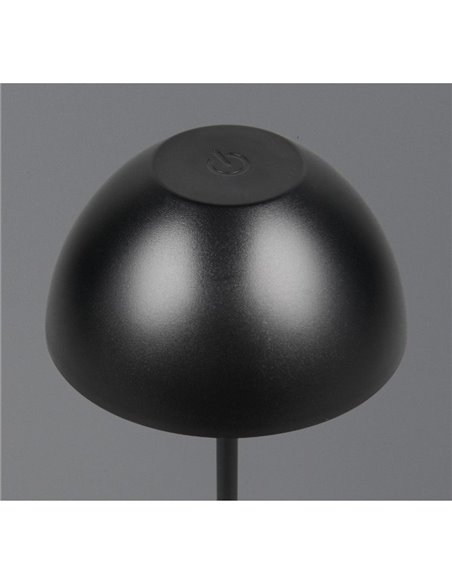 Lámpara LED de sobremesa con batería recargable USB ORTIZ regulable 2W 150lm, 3000K IP20