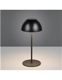 Lámpara LED de sobremesa con batería recargable USB ORTIZ regulable 2W 150lm, 3000K IP20