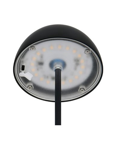 Lámpara LED de sobremesa con batería recargable USB ORTIZ regulable 2W 150lm, 3000K IP20