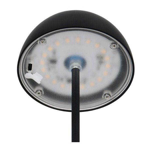 Lámpara LED de sobremesa con batería recargable USB ORTIZ regulable 2W 150lm, 3000K IP20