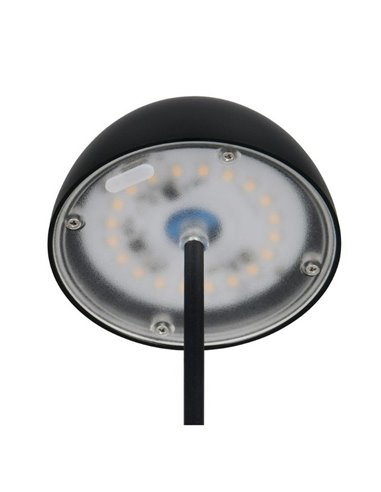 Lámpara LED de sobremesa con batería recargable USB ORTIZ regulable 2W 150lm, 3000K IP20