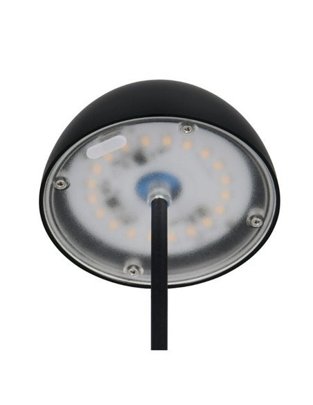 Lámpara LED de sobremesa con batería recargable USB ORTIZ regulable 2W 150lm, 3000K IP20