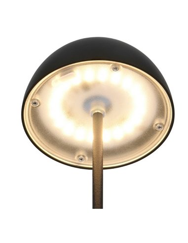 Lámpara LED de sobremesa con batería recargable USB ORTIZ regulable 2W 150lm, 3000K IP20