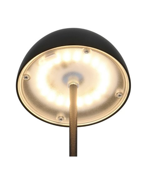 Lámpara LED de sobremesa con batería recargable USB ORTIZ regulable 2W 150lm, 3000K IP20