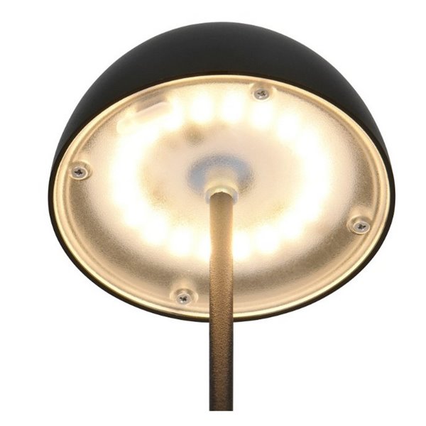 Lámpara LED de sobremesa con batería recargable USB ORTIZ regulable 2W 150lm, 3000K IP20