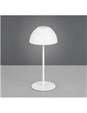 Lámpara LED de sobremesa con carga USB ORTIZ regulable 2W 150lm, 3000K IP20