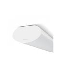 Tela LED de superfície SOFTLINE 50W 117cm, Projectline, 5000lm 2700K/5300lm 4000K