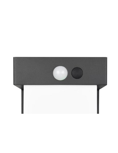 Aplique de pared LED exterior COLOMBO solar, luz ajustable  5,5W 650lm, 4000K IP44 Negro