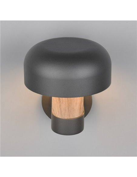Aplique de pared exterior FRASER aluminio fundido imitación madera, bombilla excl. 1x E27 max. 10W IP44