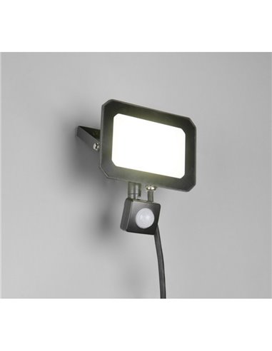 Projecteur LED FUNCHAL 30 W avec détecteur de mouvement pour extérieur, 14 x 15 cm, 2 800 lm, 4 000 K, IP44, noir