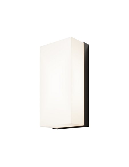 Aplique de pared LED rectangular BADD 20x10cm para exterior 10W 700Lm 3000K IP54 Antracita