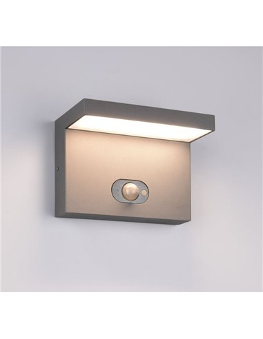 Aplique LED solar, con sensor de movimiento BLYDE 5W 700lm, 2300 - 4000K IP44 Antracita