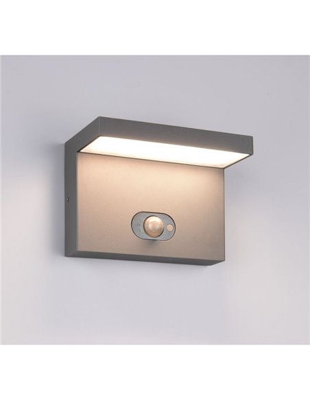 Aplique LED solar, con sensor de movimiento BLYDE 5W 700lm, 2300 - 4000K IP44 Antracita