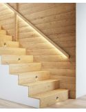 Escaleras Aplique LED Negro ILO 2W Empotrable de Señalización Interior 3000K Redondo Beneito Faure
