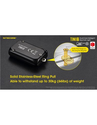 Lampe torche LED TINI2, petite et légère, batterie rechargeable, 500 lm, accessoire porte-clés, IP54, gris