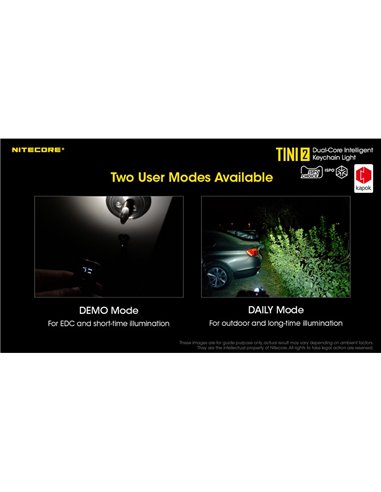 Lampe torche LED TINI2, petite et légère, batterie rechargeable, 500 lm, accessoire porte-clés, IP54, gris