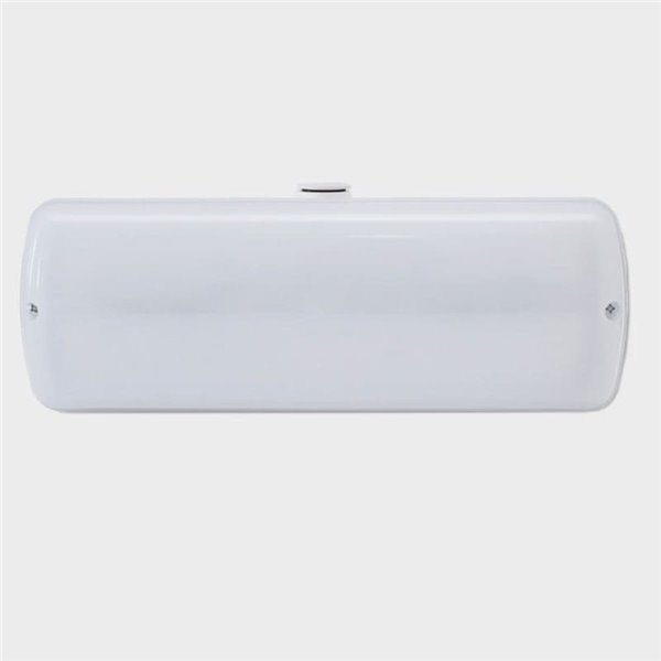 Luz de emergencia LED para exterior EVOLUTION, 150Lm, 0,67W, 5000K, 4 leds, IK08, para superficie o enresada