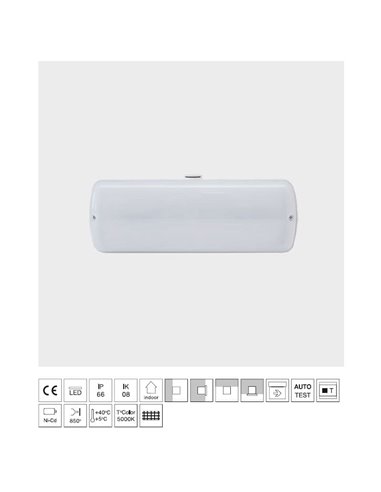 Luz de emergencia LED para exterior EVOLUTION, 200Lm, 0,67W, 5000K, 6 leds, IK08, para superficie o enresada