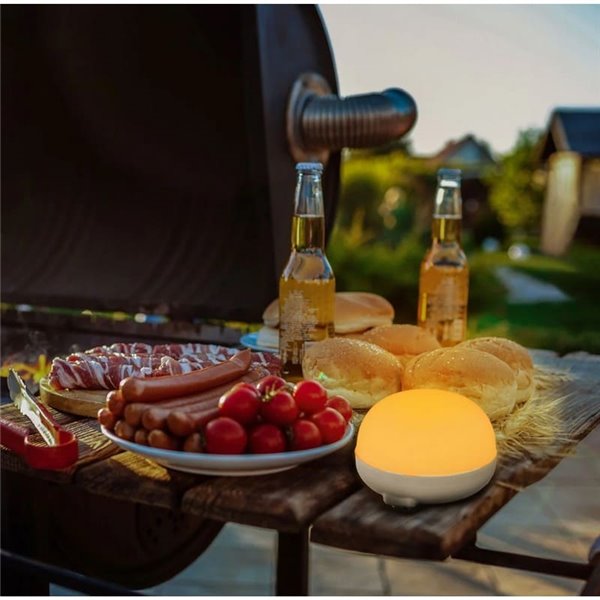 Ampoule LED rechargeable Cherry 9 W, blanc chaud 1800 K, avec télécommande infrarouge et base magnétique, pour l'extérieur