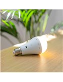 Bombilla portátil recargable E27 LAPERA, 350Lm, luz regulable y dimable con mando y temporizador