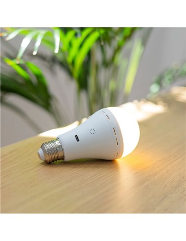 Ampoule portable rechargeable LAPERA E27, 350 lm, intensité variable et réglable, avec télécommande et minuterie