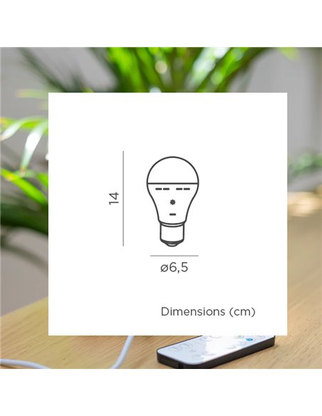Bombilla portátil recargable E27 LAPERA, 350Lm, luz regulable y dimable con mando y temporizador