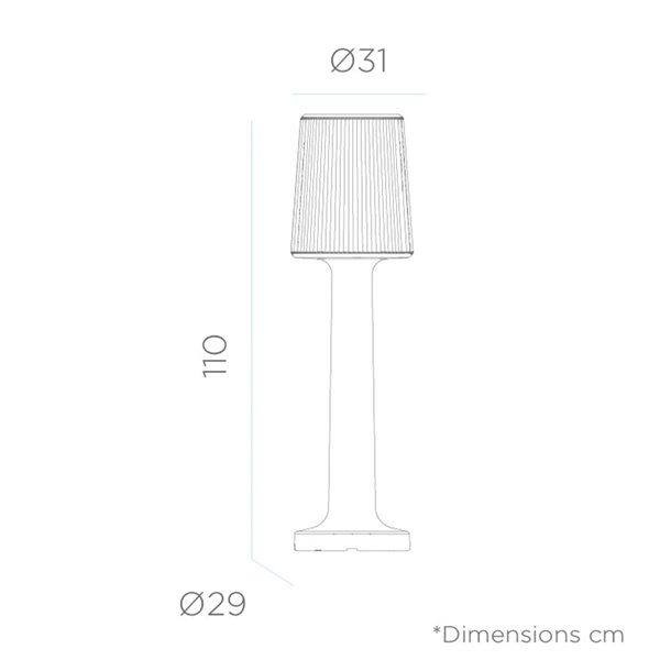 Lampadaire d'extérieur LED CARMEN 110 avec câble, blanc froid ou blanc chaud
