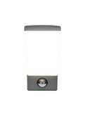 Applique murale LED puissante BEJA détecteur de mouvement, 12,5W 1650lm, 4000K IP44 Anthracite