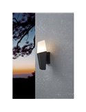 Aplique de pared exterior FARINDOLA, acero negro y plástico blanco, E27 (no incl.)