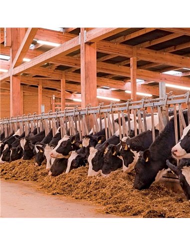 Luminária LED especial à prova d'água para fazendas AMMONIAK 120cm, 34W 5900Lm, CTT 3000K-4000K-6500K, IP69K