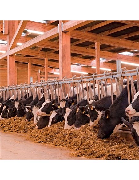 Luminaria LED estanca especial granjas AMMONIAK 149cm, 44W 57800Lm, CTT 3000K-4000K-6500K, IP69K