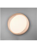 Plafón redondo LED ZETA 48,5cm 24W 2500lm, regulable 2700 - 6500K con mando IP20 Negro-oro