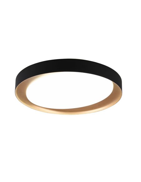 Plafonnier LED rond ZETA 48,5 cm 24 W 2 500 lm, dimmable 2 700 - 6 500 K avec télécommande IP20 Noir-doré