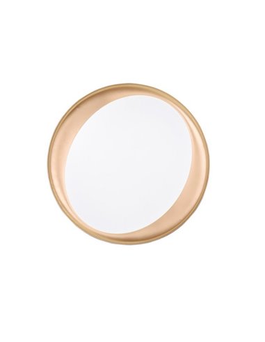 Plafón redondo LED ZETA 48,5cm 24W 2500lm, regulable 2700 - 6500K con mando IP20 Negro-oro