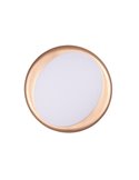 Plafonnier LED rond ZETA 48,5 cm 24 W 2 500 lm, dimmable 2 700 - 6 500 K avec télécommande IP20 Noir-doré