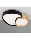 Plafón LED para techo 43,5cm RISE 21W 2400lm regulable 2700 - 6500K IP20 función memoria y luz de noche Negro-oro
