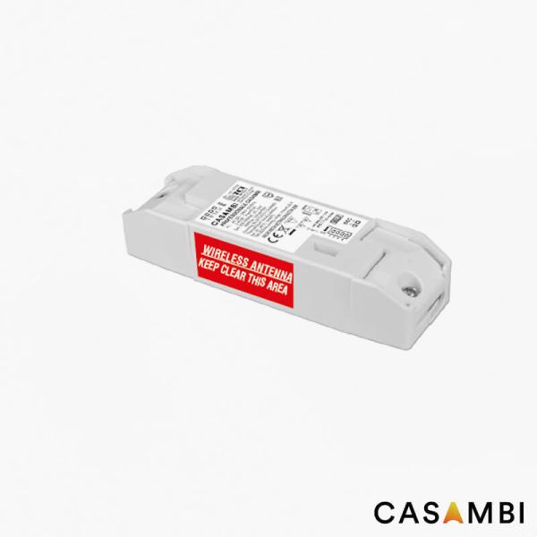 Driver LED 3–38 W 300–1 050 mA DC 10–54 V avec contrôle Casambi – Classe II | Réglable via l'application