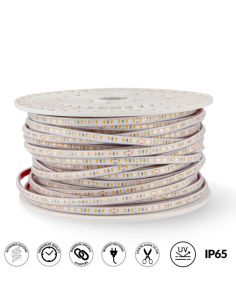 Tira LED 220V AC PROSTRIP SMD2835 12W/m IP65 – Enlazable hasta 50m | CRI90 Regulable TRIAC