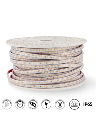 Tira LED 220V AC PROSTRIP SMD2835 12W/m IP65 – Enlazable hasta 50m | CRI90 Regulable TRIAC