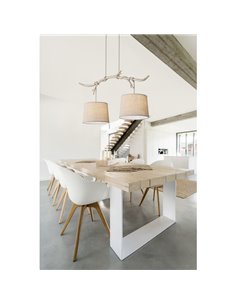 Lampe suspendue au plafond Rustique Série Sabina 2L Ø30CM 2