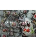 Tira LED 12V SMD 2835, 5 metros, 300 LED luz cálida 3000K, 4,8 W/m, IP20