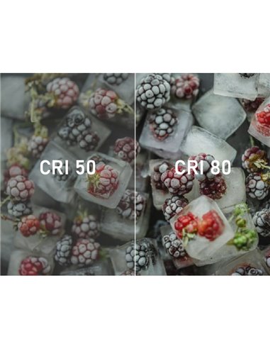 Tira LED 12V SMD 2835, 5 metros, 300 LED luz cálida 3000K, 4,8 W/m, IP20