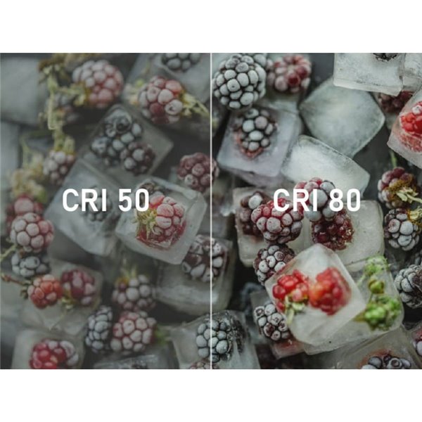 Tira LED 12V SMD 2835, 5 metros, 300 LED luz cálida 3000K, 4,8 W/m, IP20