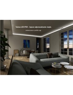 Tira LED 12V SMD 2835, 5 metros, 300 LED luz cálida 3000K, 4,8 W/m, IP20 2