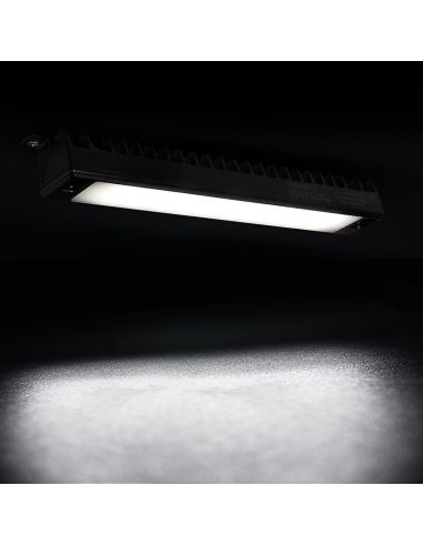 Lampe de manœuvre LED CRP1 12 V/24 V 2 200 lm IP67/IP69K homologuée R148