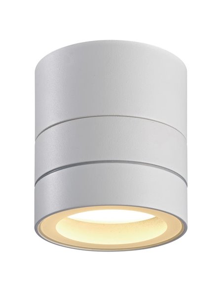 Spot extérieur orientable blanc SALER, IP65 1LxGX54, pour plafond ou mur 0-90º