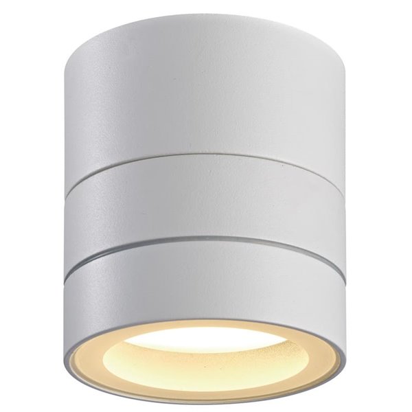 SALER Weißer, verstellbarer Außenstrahler, IP65, 1L x G x 54 mm, für Decke oder Wand, 0-90º