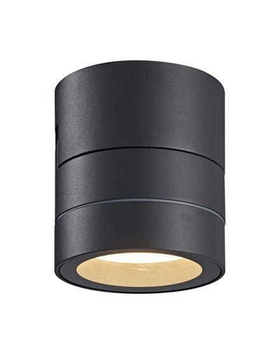 Spot mural ou plafonnier SALER gris foncé, orientable de 0 à 90º, IP65, 1LxGX53