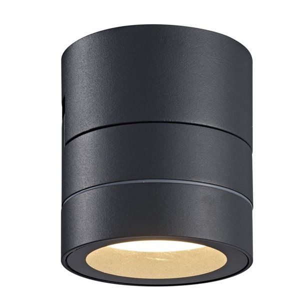 Foco de pared o techo orientable de 0 a 90º  SALER gris oscuro, IP65 1LxGX53
